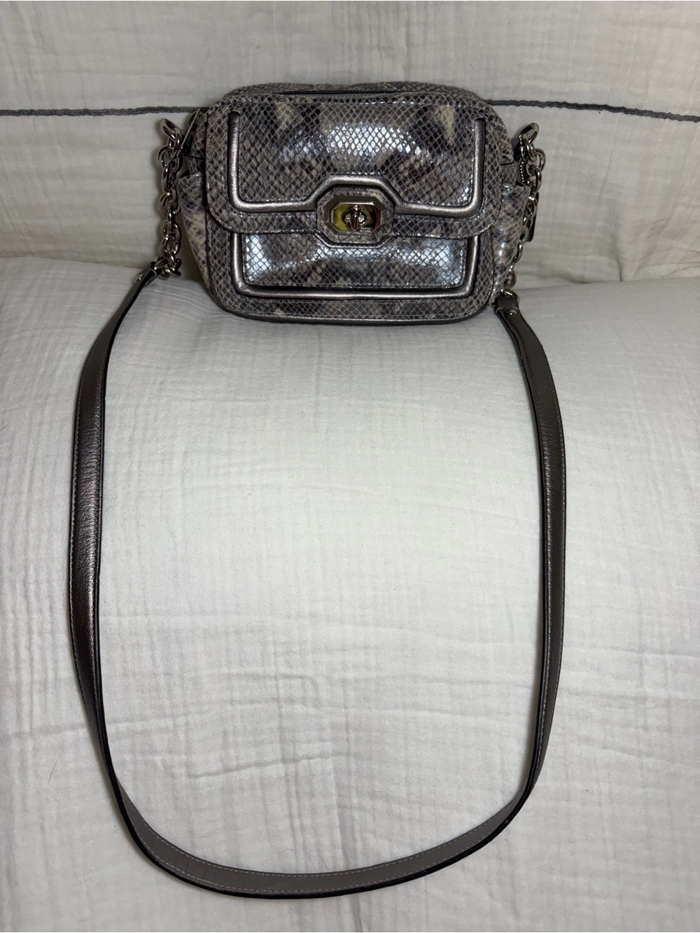 Coach Campbell Crossbody Bag Gray Snakeskin-Textured Leather